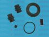 AUTOFREN SEINSA D41001 Repair Kit, brake caliper